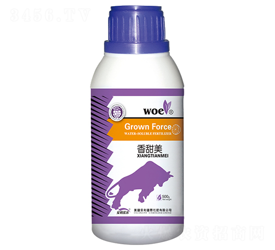 �~���-������-�֠��ʘI(y��)