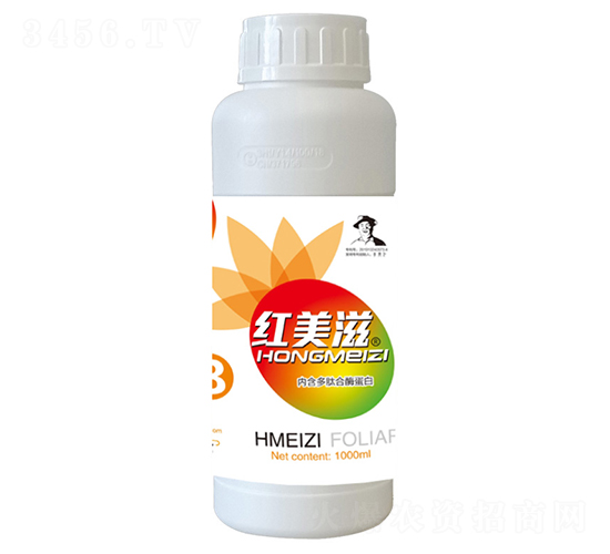 ��������-�t����-�֠��ʘI(y��)