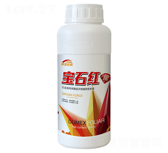 �~���-��ʯ�t-�֠��ʘI(y��)