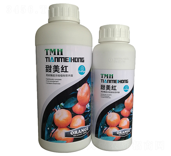 �~���-�����t-�֠��ʘI(y��)