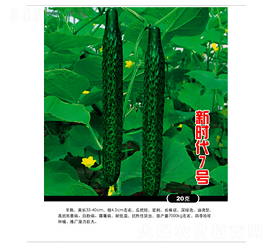 �r��7̖-�S�ϷN��-�r(n��ng)���f