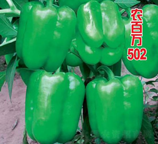 �r(n��ng)���f502-�𽷷N��-�r(n��ng)���f