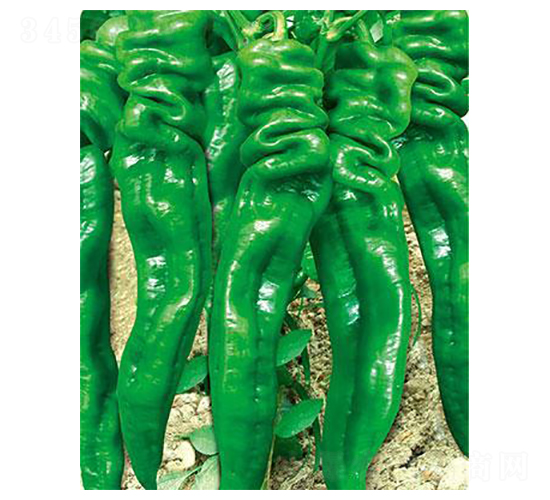 ������3̖-�ݽz���N��-�r(n��ng)���f