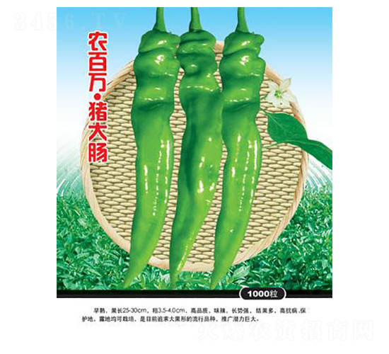 �r(n��ng)���f�i���c-�ݽz���N��-�r(n��ng)���f