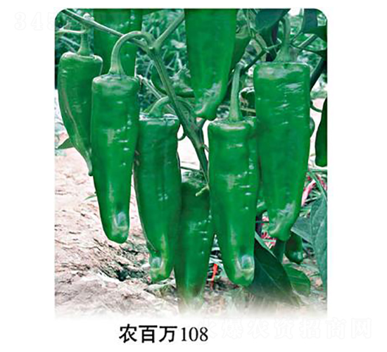 �r���f108-�ݽ��N��-�r���f