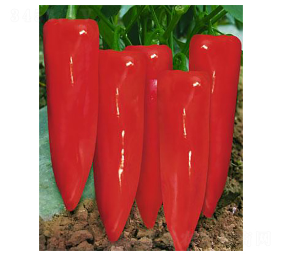 �t������-�ݽ��N��-�r(n��ng)���f