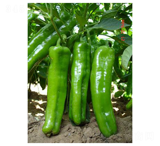 ����-�ݽ��N��-�r(n��ng)���f(w��n)