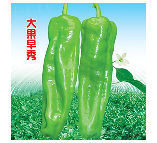 �������-�ݽ��N��-�r(n��ng)���f(w��n)