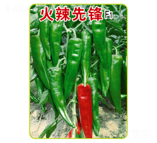 �������h-�ݽ��N��-�r(n��ng)���f