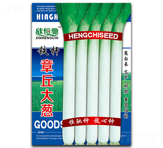 �F�U������[-���[�N��-���Y�N�I(y��)