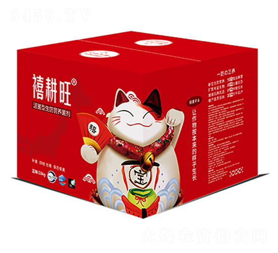 ����������I�B(y��ng)����-������-���r(n��ng)�A��