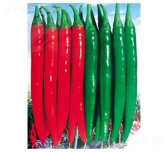 �t��1̖-�����N��-�A�S�N�I(y��)