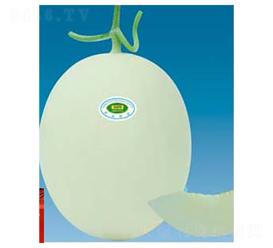 ������̖(h��o)-��ϷN��-�A�S�N�I(y��)