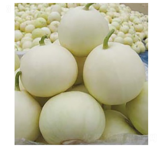 ����352-��ϷN��-�A�S�N�I(y��)