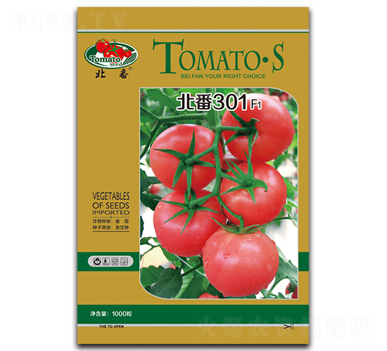 ����301-���ѷN��-�A�S�N�I(y��)