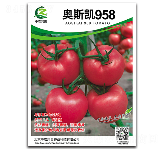 �W˹�P958-���ѷN��-���r(n��ng)��(r��n)��