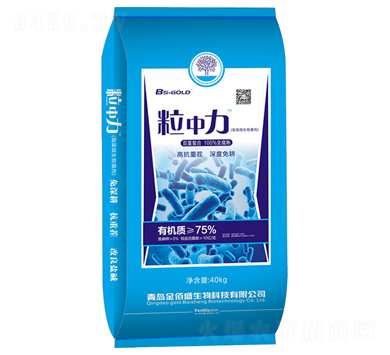 ����΢�������-������-���ʢ