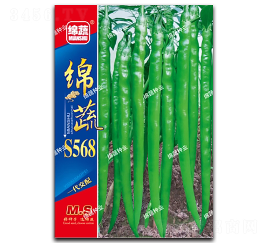 �d��S568-�����N��-�d�߷N�I(y��)