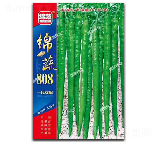 �d��808-�����N��-�d�߷N�I(y��)