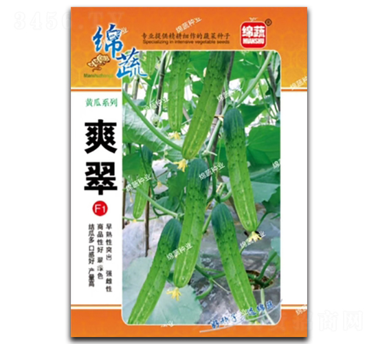 ˬ��-�S�ϷN��-�d�߷N�I(y��)