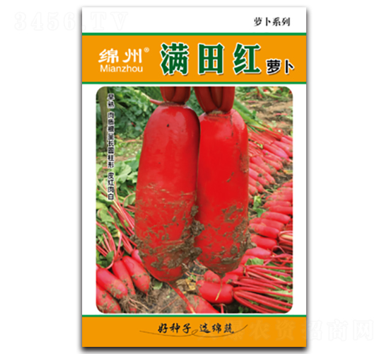 �M��t-�}���N��-�d�߷N�I(y��)