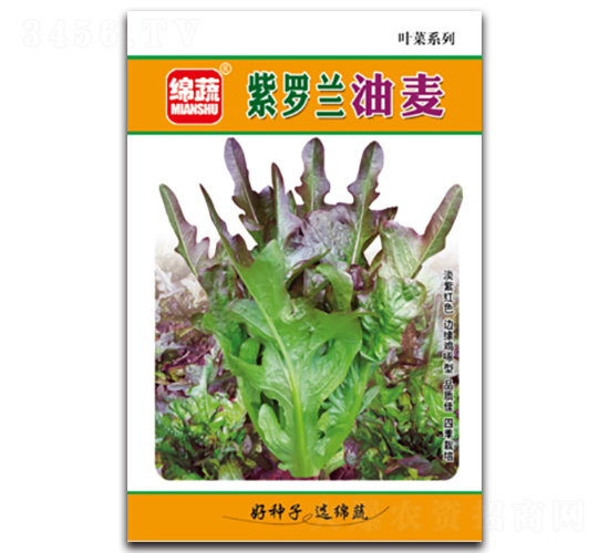 ���_�m����-�����˷N��-�d�߷N�I(y��)