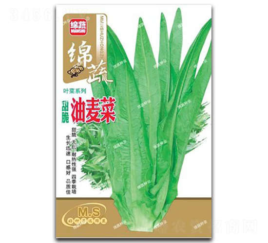 ���������-�����˷N��-�d�߷N�I(y��)