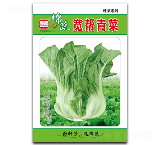 �������-��˷N��-�d�߷N�I(y��)