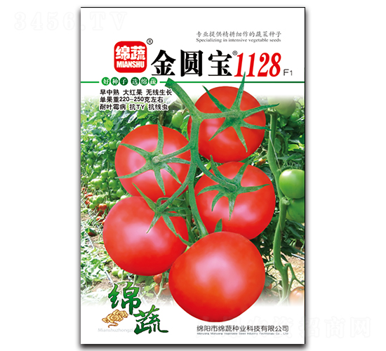 ���@��1128-���ѷN��-�d�߷N�I(y��)