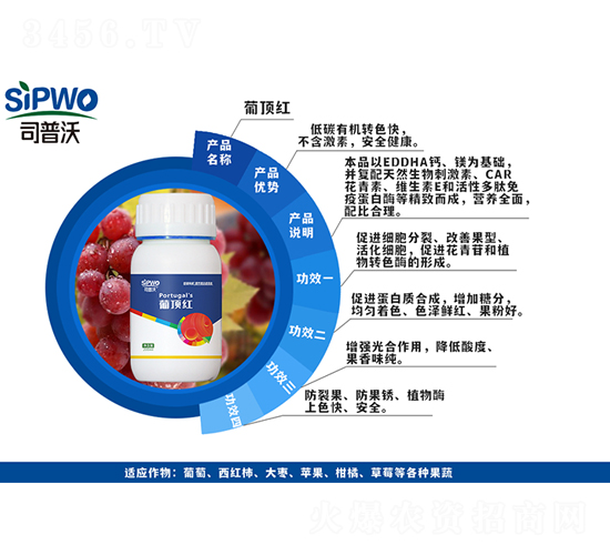 ��피t-˾����