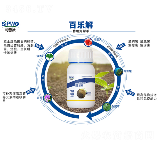 �٘���-˾����