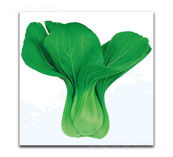 �۹�1̖-�ײ˷N��-��֮�W