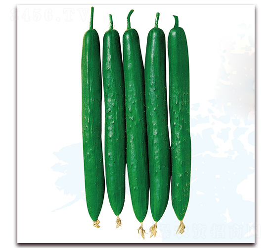 ���۹�(ji��)��1̖(h��o)-�S�ϷN��-��֮�W