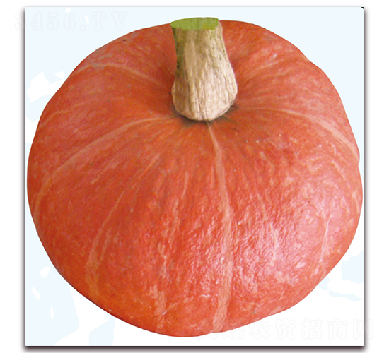 �F�t2̖(h��o)-�ϹϷN��-��֮�W