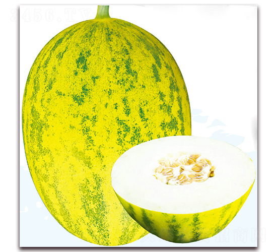 ����-��ϷN��-��֮�W