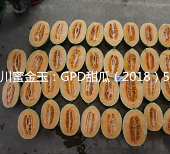 ���۽���-��ϷN��-���؈@ˇ