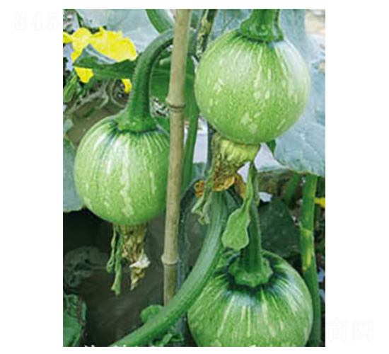 ����-�ϹϷN��-���؈@ˇ