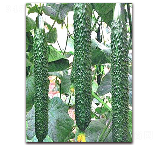 ���_(d��)2̖-�S�ϷN��-���_(d��)