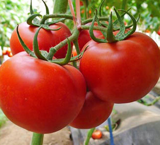 ����-��TY���ѷN��-���_(d��)