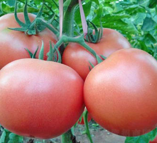 ����-��TY���ѷN��-���_(d��)