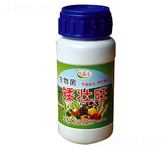 �����������-ϲ���S�r(n��ng)�I(y��)