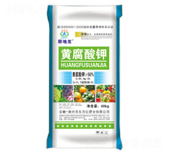 �S�����-�����-�|���t