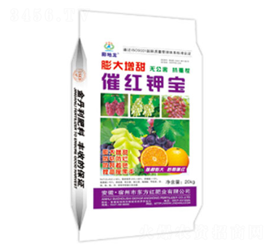 �������߼t⛌�-�����-�|���t