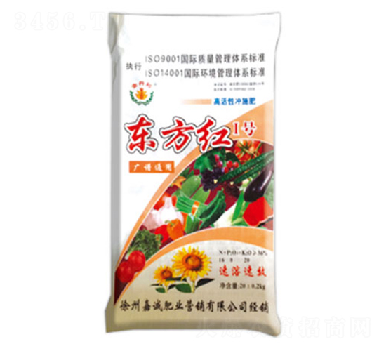 �|���t1̖-����-�|���t