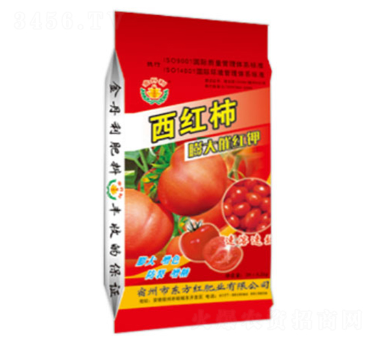 ���t�����߼t�-�|���t