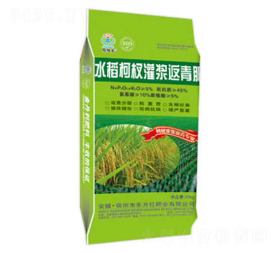 ˮ����边��{�����-�|���t