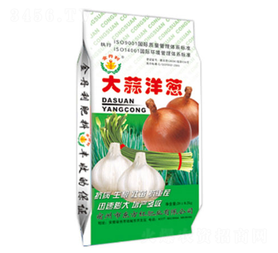 �������[�_ʩ��-�|���t