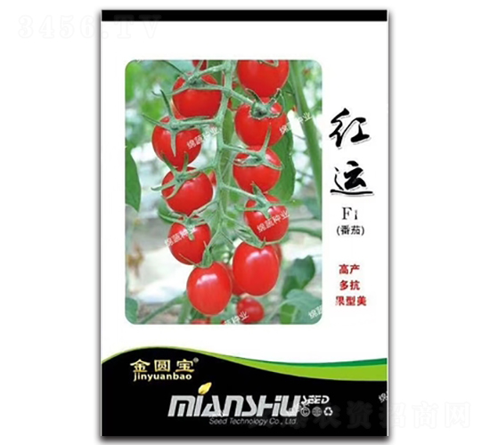 �t�\(y��n)-���ѷN��-�d�߷N�I(y��)