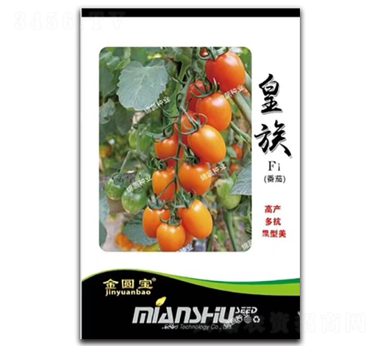 ����-���ѷN��-�d�߷N�I(y��)