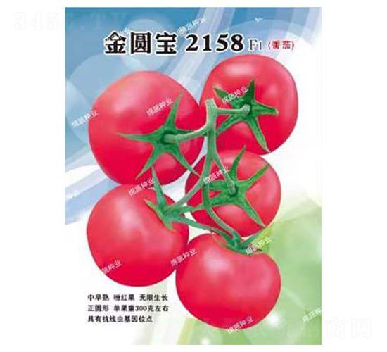 ���A��2158-���ѷN��-�d�߷N�I(y��)